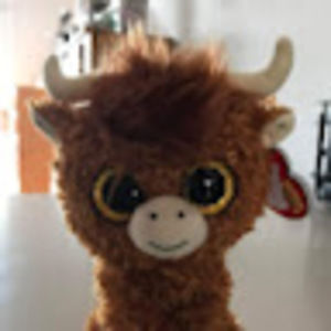 Meet your Posher, Rebecca